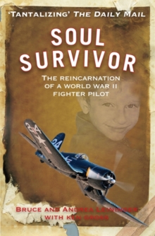 Image for Soul survivor  : the reincarnation of a World War II fighter pilot