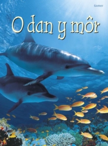 Image for Cyfres Dechrau Da: O dan y Mor