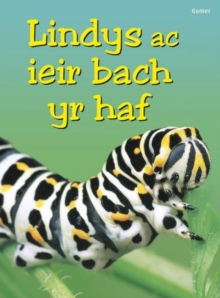 Image for Cyfres Dechrau Da: Lindys ac Ieir Bach yr Haf