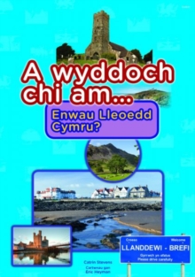 Image for Cyfres a Wyddoch Chi: A Wyddoch Chi am Enwau Lleoedd Cymru?