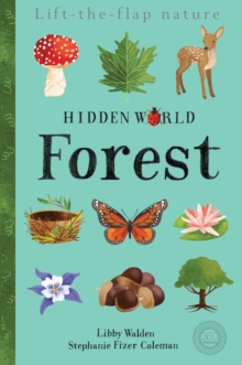 Image for Hidden World: Forest