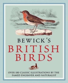 Image for Bewick's British birds