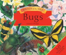 Sounds Of The Wild Bugs