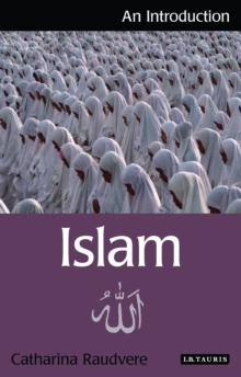 Image for Islam  : an introduction