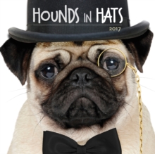 Image for Hounds in Hats 2017