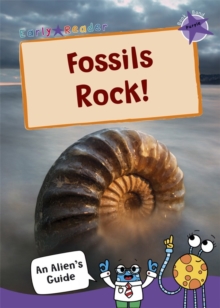 Image for Fossils rock!