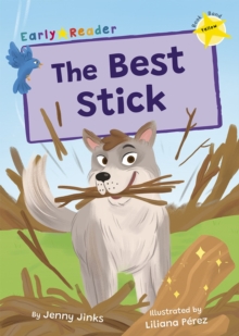 Image for The best stick