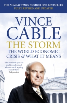 Image for The storm  : the world economic crisis and what it means