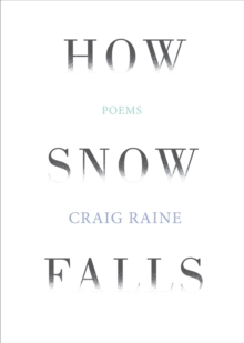 How Snow Falls