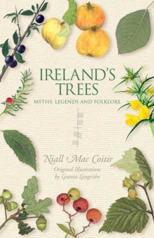 Image for Ireland's trees  : myths, legends and folklore
