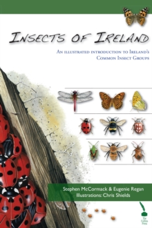 Image for Insects of Ireland: An illustrated introduction to Ireland's common insect groups