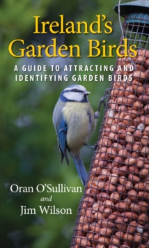 Image for Ireland's garden birds: a guide to attracting and identifying garden birds