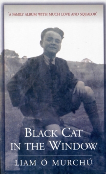 Image for Black cat in the window