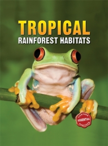 Image for Tropical Rainforest Habitats
