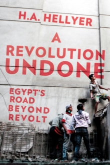 Image for A revolution undone  : Egypt's road beyond revolt