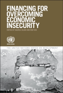 Image for Development Financing and Economic Insecurity