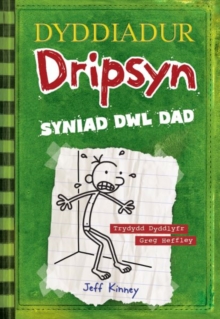 Image for Syniad dwl dad
