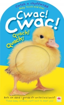 Image for Cwtsh a Chyffwrdd: Cwac! Cwac!/Baby Touch and Feel: Quack! Quack!