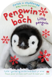 Image for Cwtsh a Chyffwrdd: Pengwin Bach / Baby Touch and Feel: Little Penguin