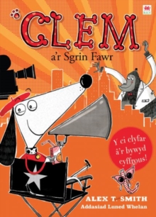 Image for Clem a'r sgrin fawr