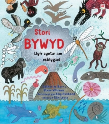 Image for Stori Bywyd