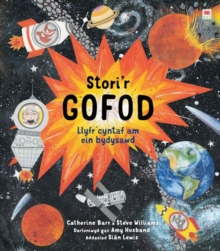 Image for Stori'r gofod