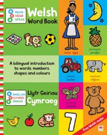 Image for Welsh word book