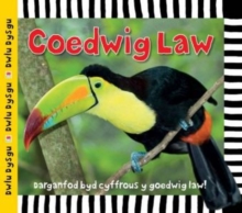 Image for Cyfres Dwlu Dysgu: Coedwig Law
