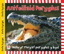 Image for Cyfres Dwlu Dysgu: Anifeiliaid Peryglus