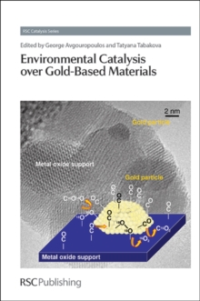 Image for Environmental catalysis over gold-based materials