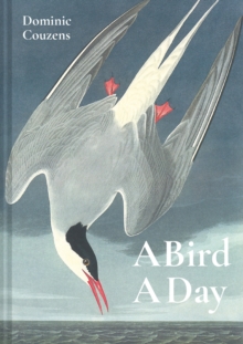 Image for A Bird A Day