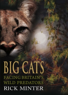 Image for Big cats: facing Britain's wild predators