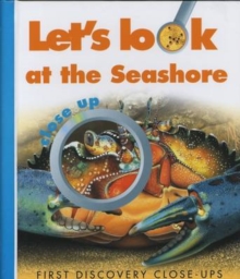 Image for Let's look at the seashore close-up