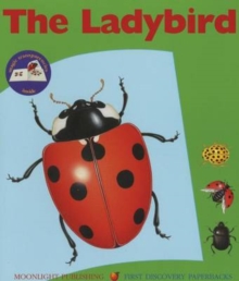 Image for The Ladybird