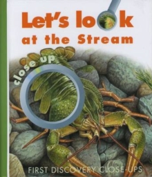 Image for Let's Look at the Stream