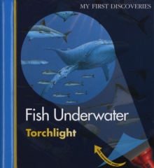 Image for Fish Underwater