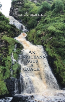 Image for An Craiceann agus a Luach