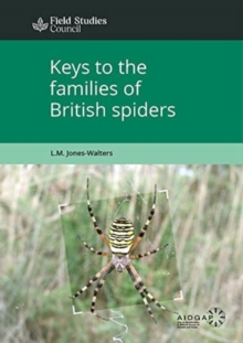 Image for Keys to the Families of British Spiders