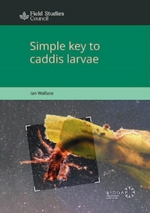Image for Simple key to caddis larvae