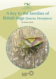 Image for A key to the families of British bugs (insecta, hemiptera)
