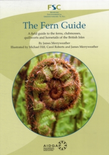 Image for The Fern Guide : A Field Guide to the Ferns, Clubmosses, Quillworts and Horsetails of the British Isles