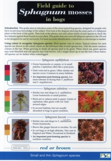 Image for Field Guide to Sphagnum Mosses in Bogs