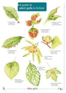 Image for Guide to Plant Galls in Britain