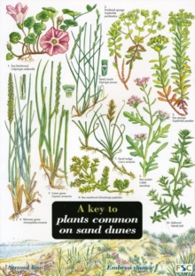 Image for Key to Plants Common on Sand Dunes
