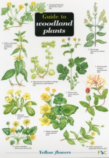 Image for Guide to woodland plants