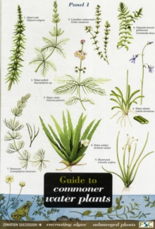 Image for Guide to Commoner Water Plants