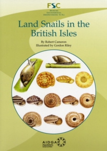 Image for Keys for the identification of land snails in the British Isles
