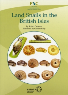 Image for Land Snails in the British Isles