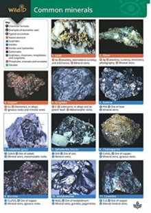 Image for Guide to Common Minerals
