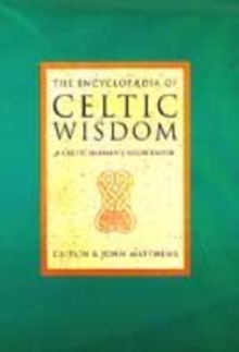 Image for The encyclopedia of Celtic wisdom  : a Celtic Shaman's sourcebook